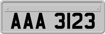 AAA3123