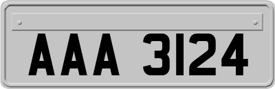 AAA3124