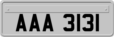 AAA3131