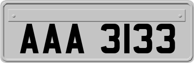 AAA3133