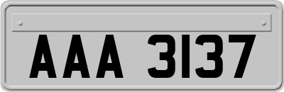 AAA3137