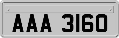 AAA3160