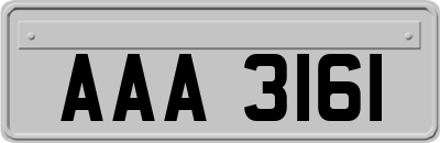 AAA3161