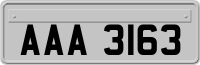 AAA3163