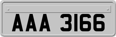 AAA3166