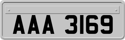 AAA3169