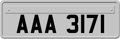 AAA3171