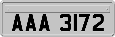 AAA3172