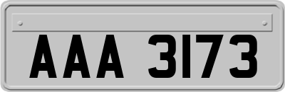 AAA3173