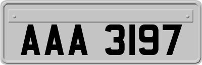 AAA3197