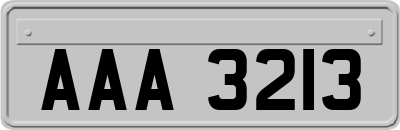 AAA3213