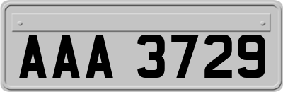 AAA3729