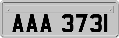 AAA3731