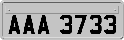 AAA3733