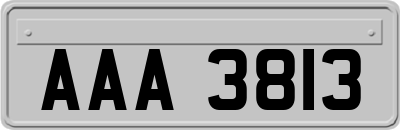 AAA3813