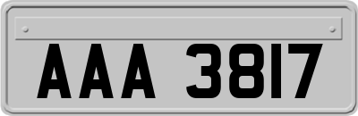 AAA3817