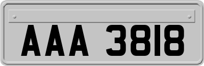 AAA3818