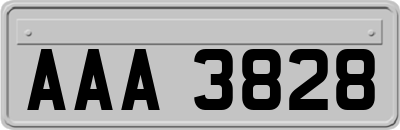 AAA3828