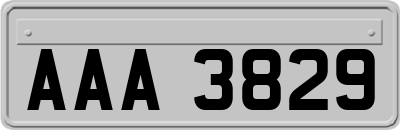 AAA3829