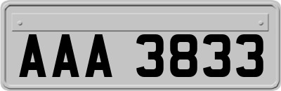 AAA3833