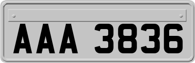 AAA3836