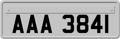 AAA3841