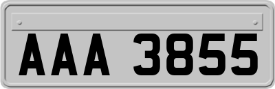 AAA3855