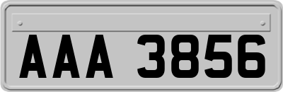 AAA3856