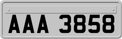 AAA3858