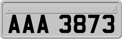 AAA3873