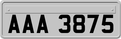 AAA3875