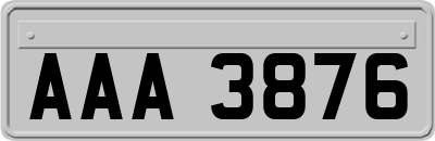 AAA3876