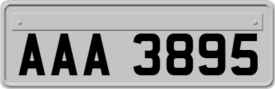 AAA3895