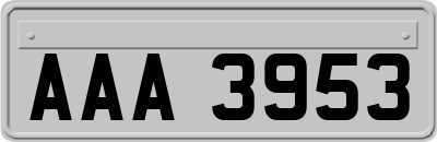 AAA3953