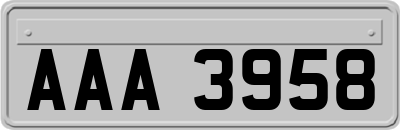 AAA3958