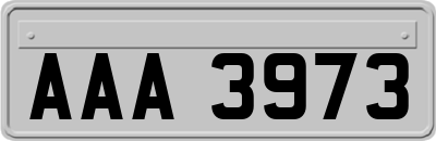 AAA3973