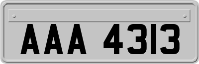 AAA4313