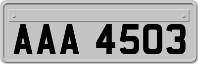 AAA4503