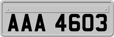 AAA4603