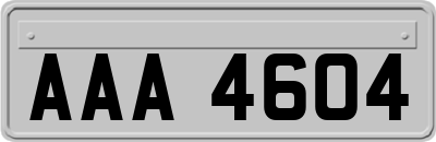 AAA4604