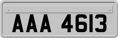 AAA4613