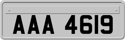 AAA4619