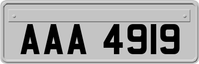 AAA4919