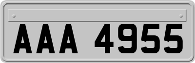 AAA4955