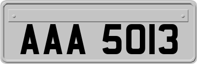 AAA5013