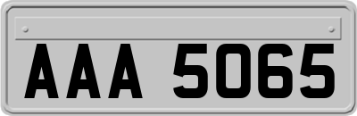 AAA5065