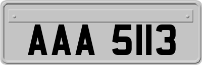 AAA5113