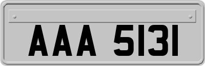 AAA5131