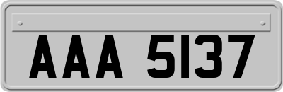 AAA5137