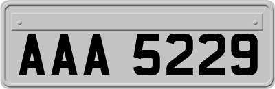 AAA5229